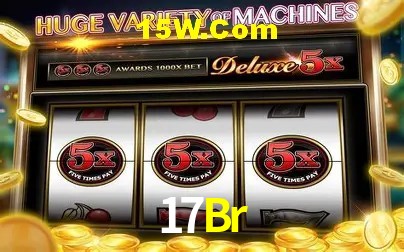 17Br - Support